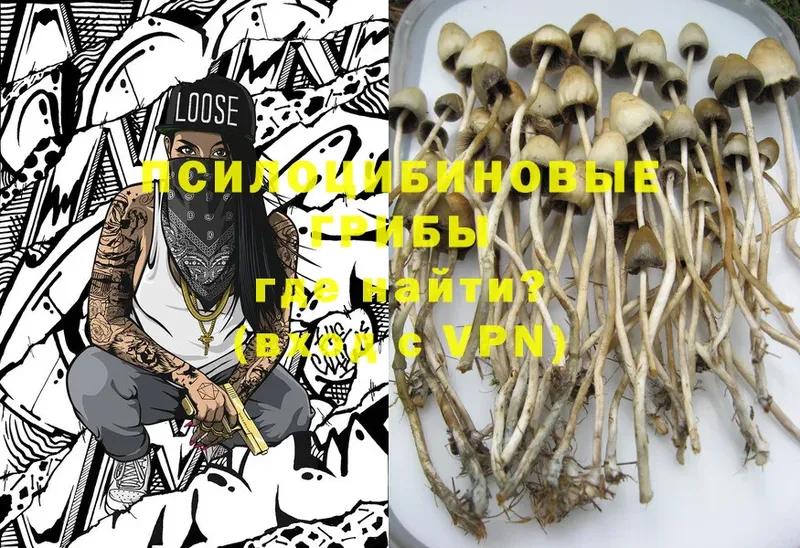 что такое наркотик  Челябинск  kraken маркетплейс  Псилоцибиновые грибы Magic Shrooms 